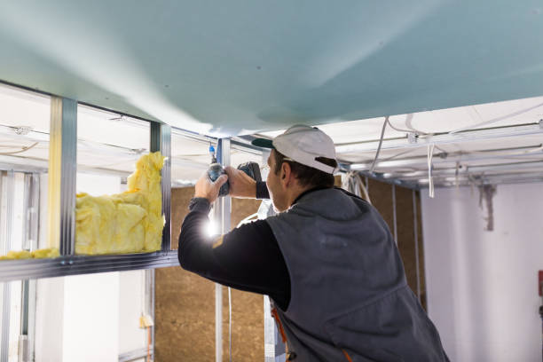 Best Commercial Insulation in Grandview, MO